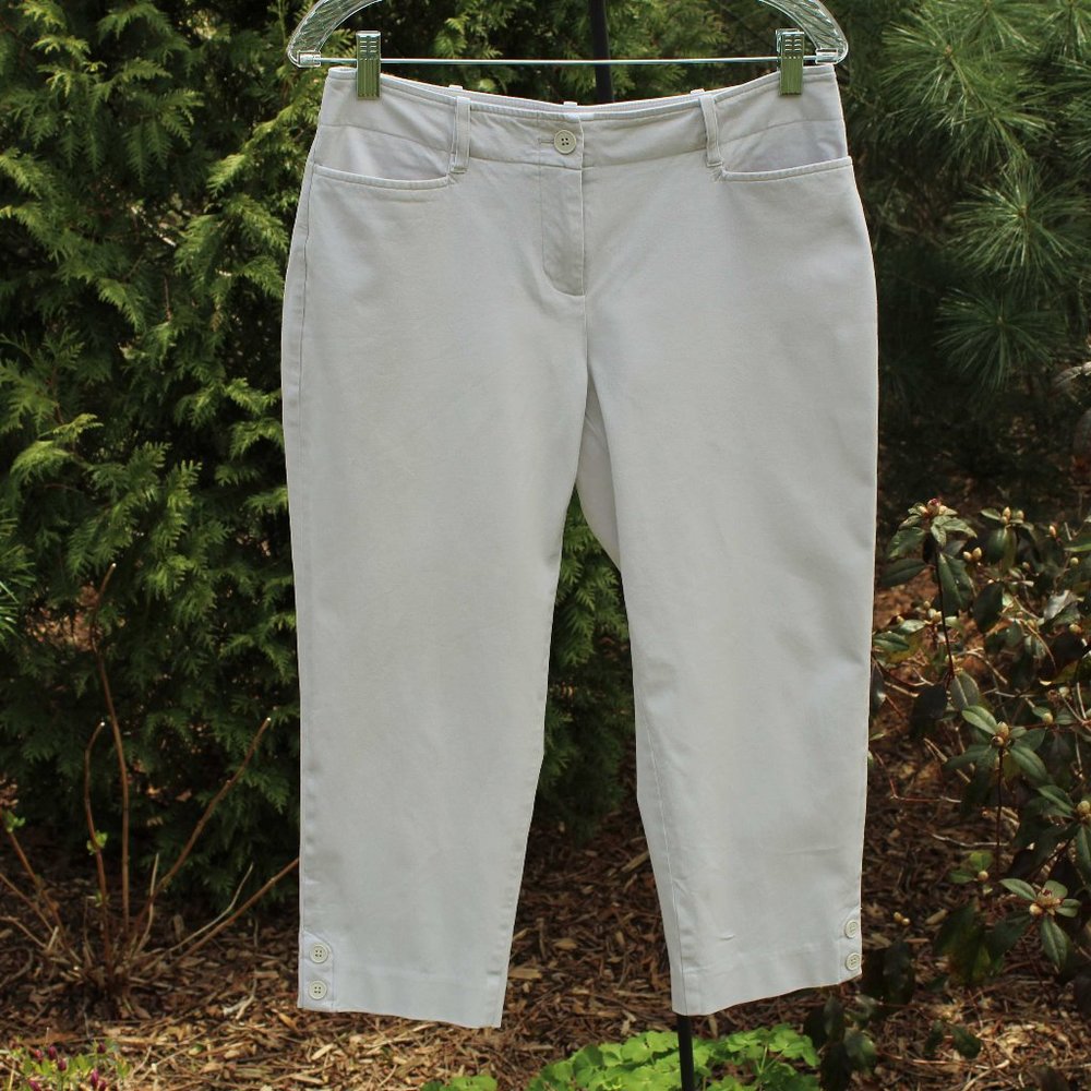 Talbots Petites Stretchy Crop Pants